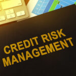 A Guide to Credit Risk Management for Banks and Financial Institutions