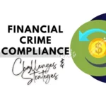 How to Enhance the Efficiency of Financial Crime Compliance Program